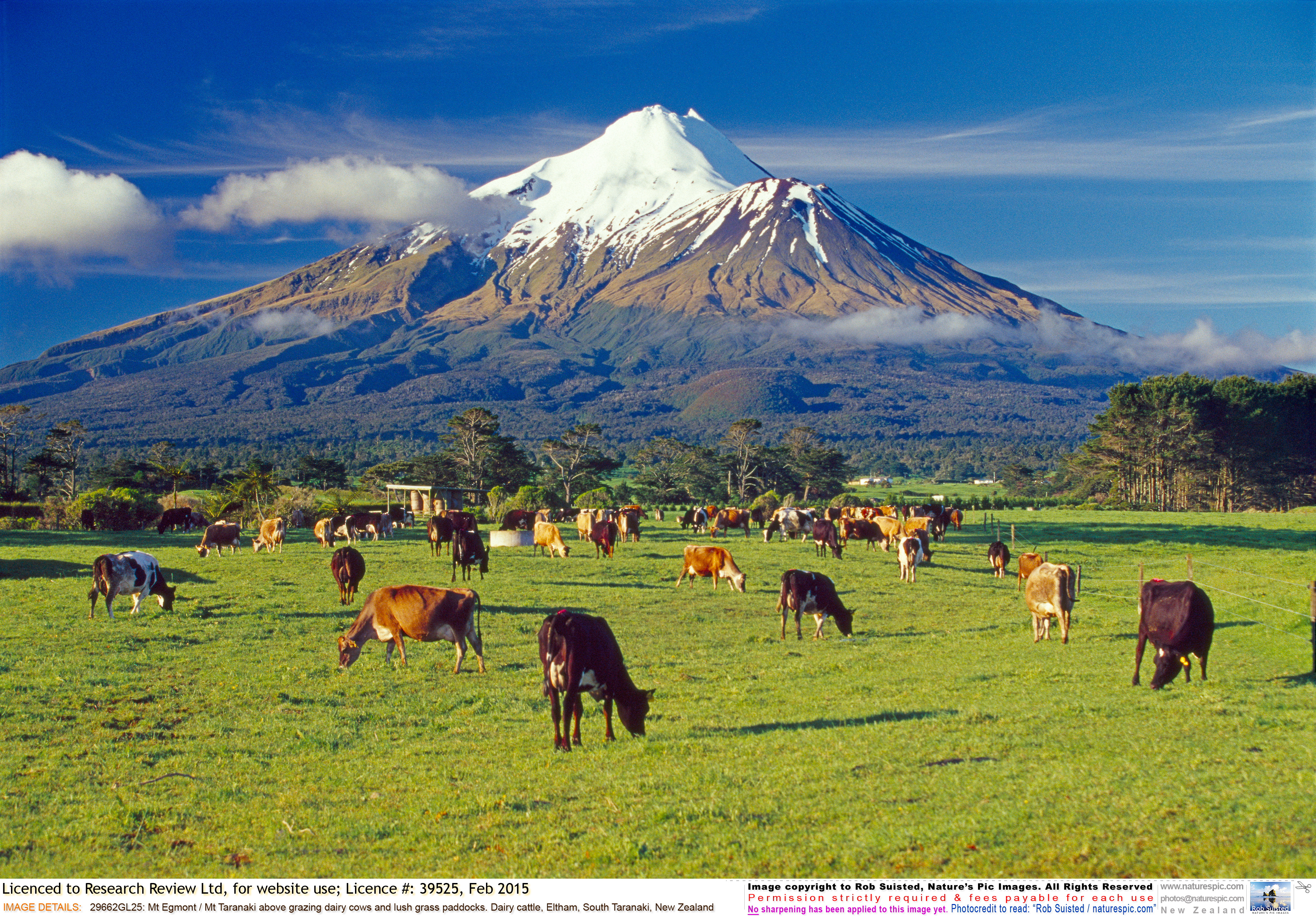 Regular updates from worldwide veterinary journals 