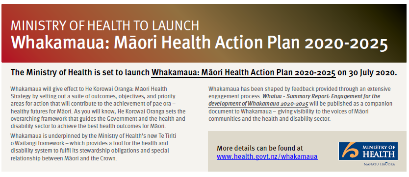 https://www.health.govt.nz/our-work/populations/maori-health/whakamaua-maori-health-action-plan-2020-2025